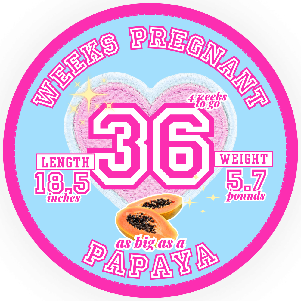 WBW-Header-Week-41-1