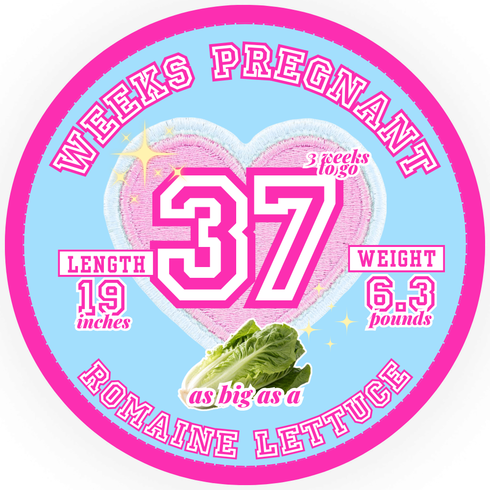 WBW-Header-Week-41-1