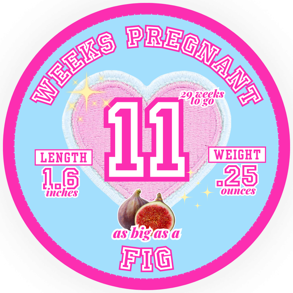 WBW-Header-Week-41-1