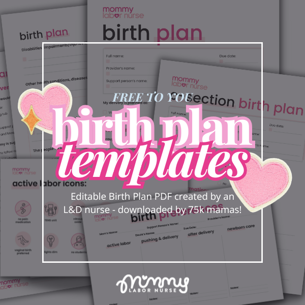 Birth Plan Templates (2)